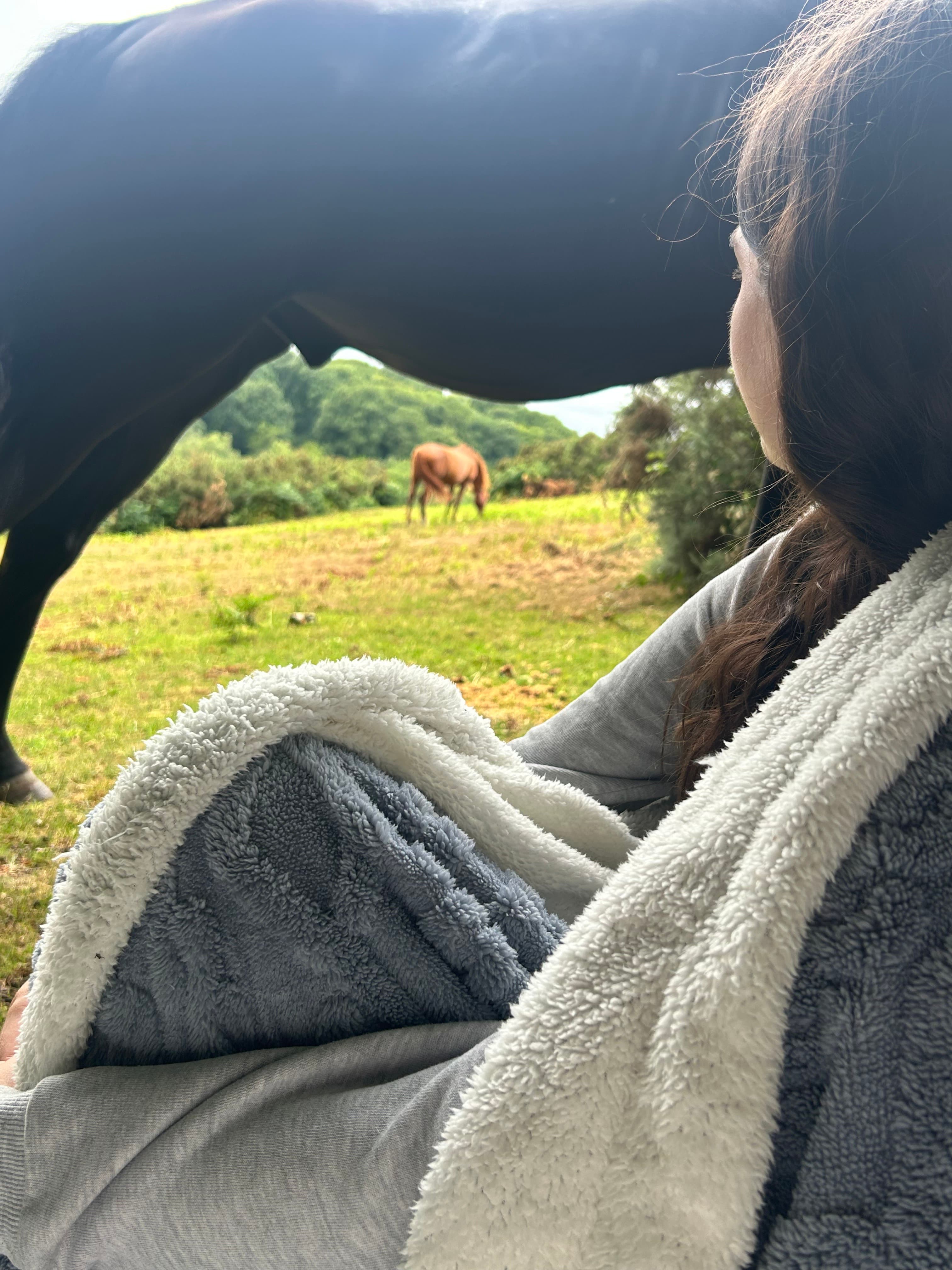 Horse close-up
